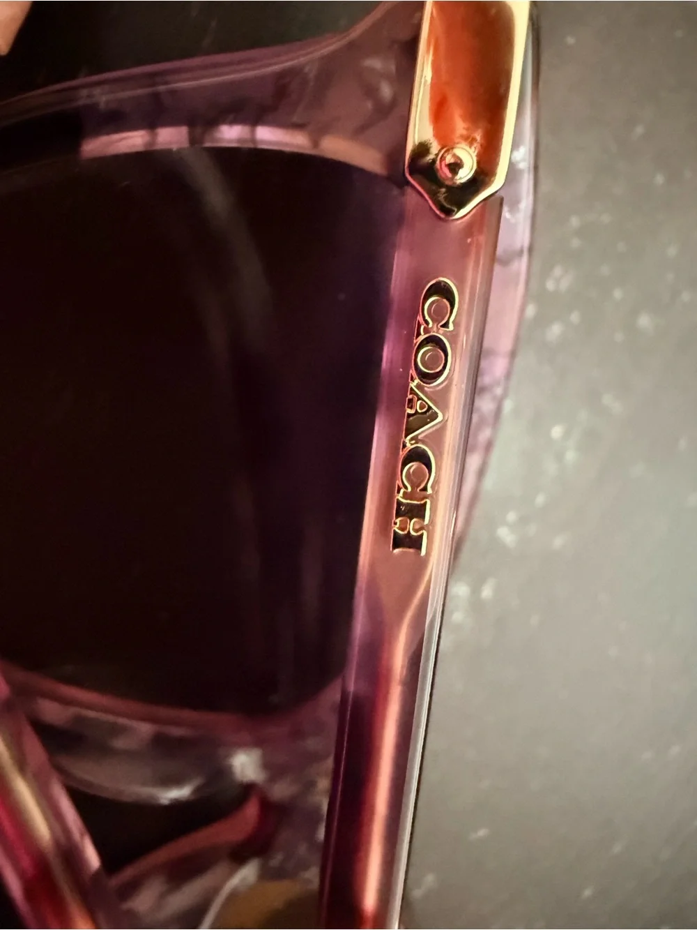 Women's Pink Coach Oversized Fashion Sunglasses